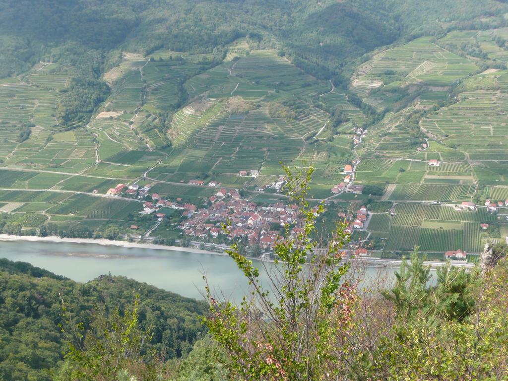 Weingut Langmayer Apartment Wosendorf in der Wachau ภายนอก รูปภาพ