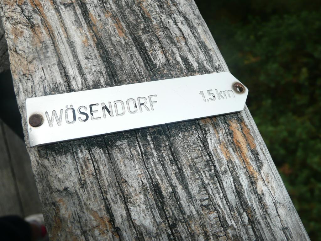 Weingut Langmayer Wosendorf in der Wachau ภายนอก รูปภาพ