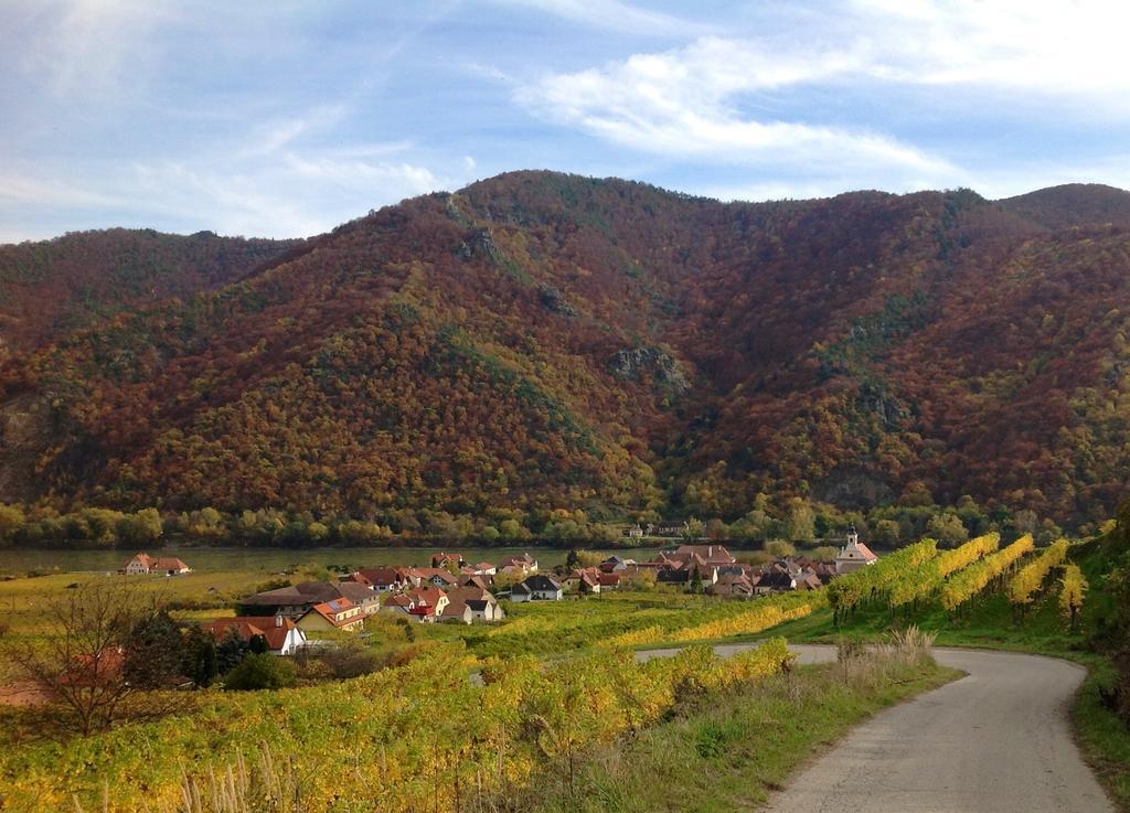 Weingut Langmayer Wosendorf in der Wachau ภายนอก รูปภาพ