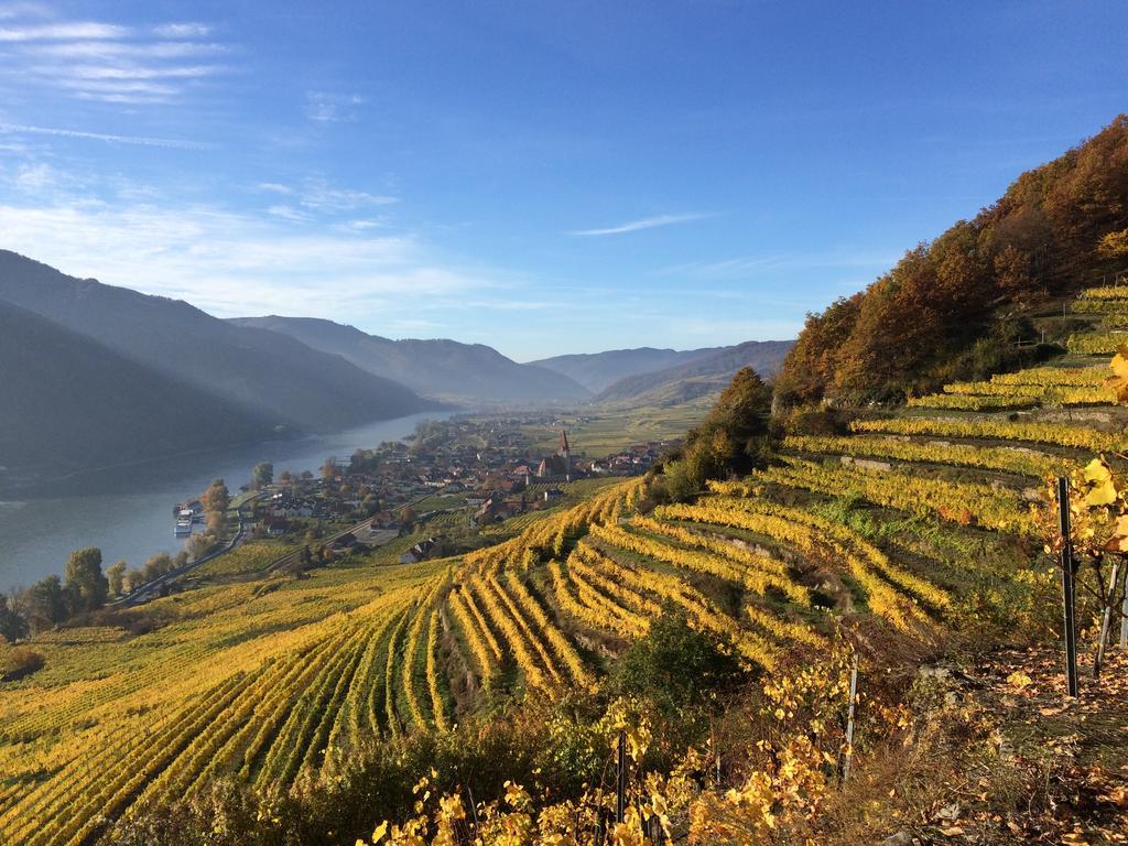 Weingut Langmayer Wosendorf in der Wachau ภายนอก รูปภาพ