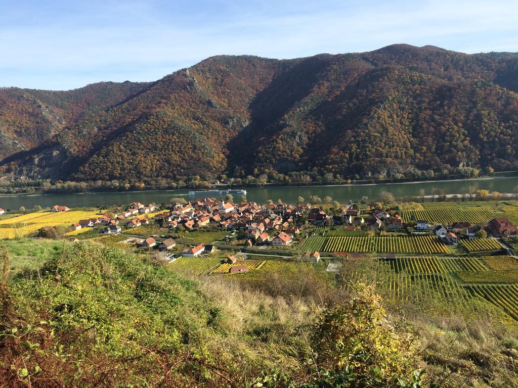 Weingut Langmayer Apartment Wosendorf in der Wachau ภายนอก รูปภาพ